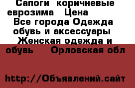 Сапоги ,коричневые еврозима › Цена ­ 1 000 - Все города Одежда, обувь и аксессуары » Женская одежда и обувь   . Орловская обл.